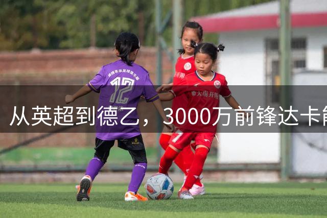 从英超到德乙，3000万前锋达卡能否在汉堡迎来生涯转折？