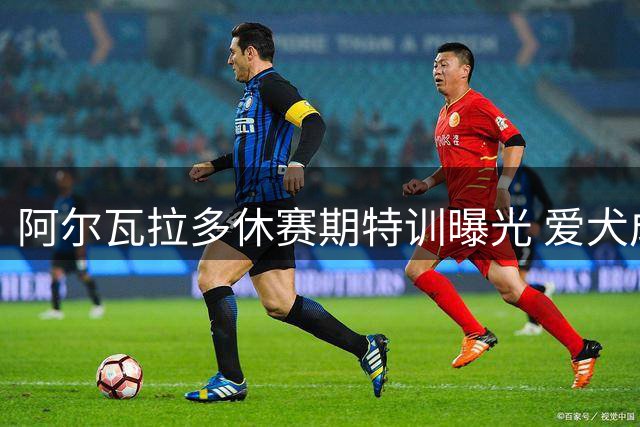 阿尔瓦拉多休赛期特训曝光 爱犬成最佳搭档