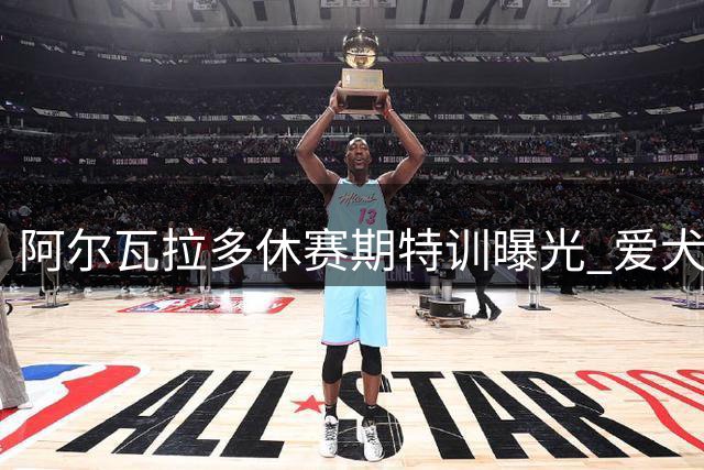 阿尔瓦拉多休赛期特训曝光 爱犬成最佳搭档